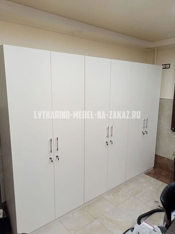 Шкафы на заказ в Лыткарино